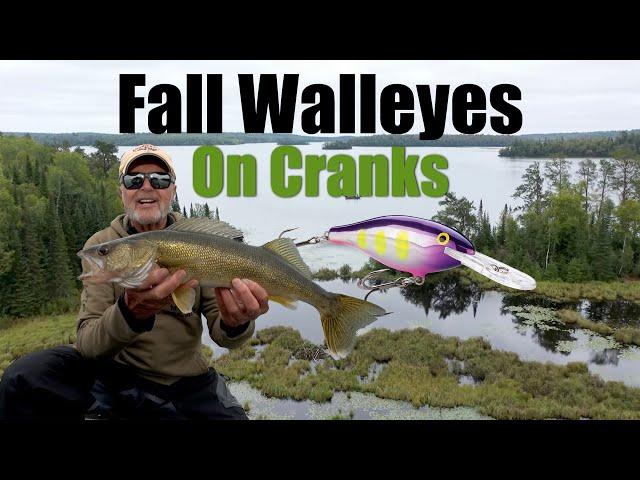 What's the SECRET to Fall Walleyes in Transitions