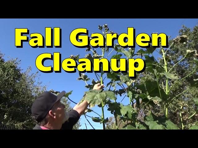 Fall Garden Cleanup and Sun Choke Harvest and Your Questions