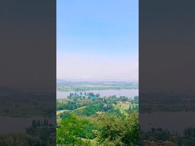 View from Pari Mahal, Srinagar. #shorts #viral #shortsfeed #kashmir #srinagar #parimahal