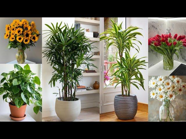 Indoor Plant, Flower & Vase Design Ideas and inspiration|Indoor plant decor ideas| flower decoration