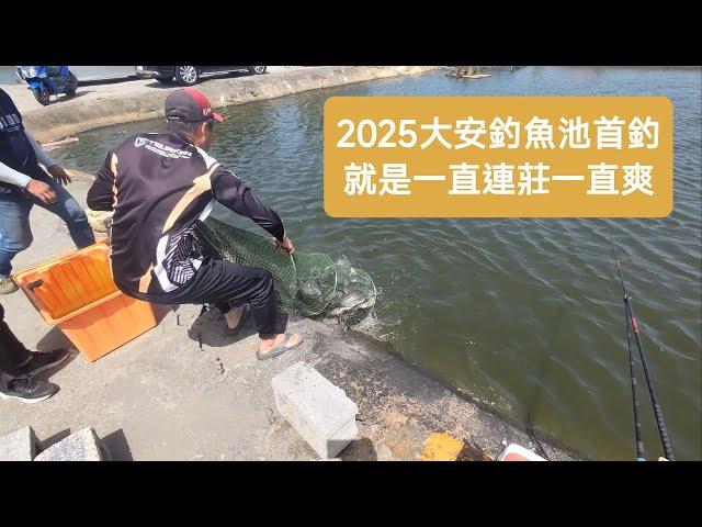 【福壽魚之章】2025大安釣魚池首釣，就是一直連莊一直爽！