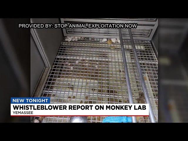 Whistleblower Report on Monkey Lab