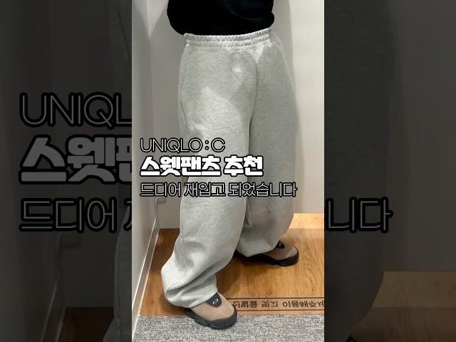 유니클로 C 스웻팬츠 추천