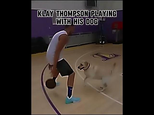 Steph playing with his dog #shorts #NBA #cold #subscribe #curry