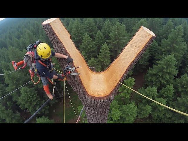 300 Most Satisfying Videos Of Workers Doing Their Job Perfectly!