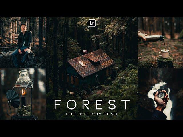 Forest - Lightroom Mobile Preset | Moody presets | Green preset | lightroom presets