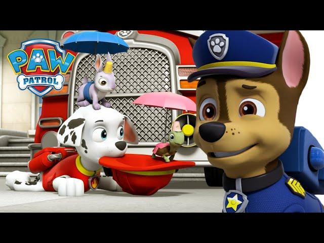 狗狗拯救迷你巡邏隊和粉筆壁畫！- PAW Patrol 汪汪隊立大功 - 兒童卡通