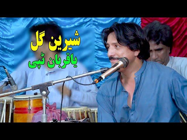 Sheren Gul new pashto Tappy 2024 | Ya Qurban Tappy | ياقربان ټپي | New pashto song.Jawabi Tappy