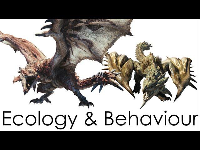 Monster Ecology: Rathalos & Rathian in Monster Hunter