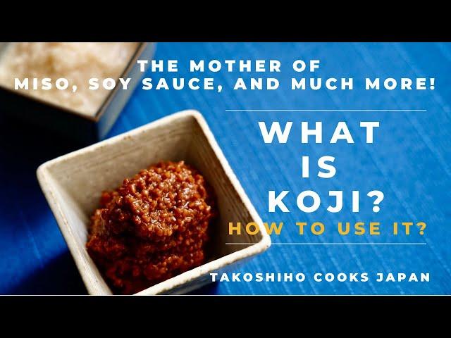 What is Koji and How to Use It? | FERMENTATION | Takoshiho Cooks Japan