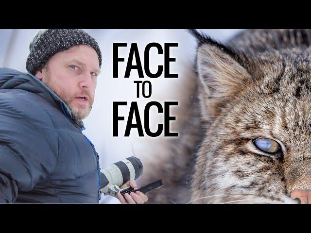 Bobcat - The Best Wildlife Experience of My Life (Face to Face with a Big Cat)