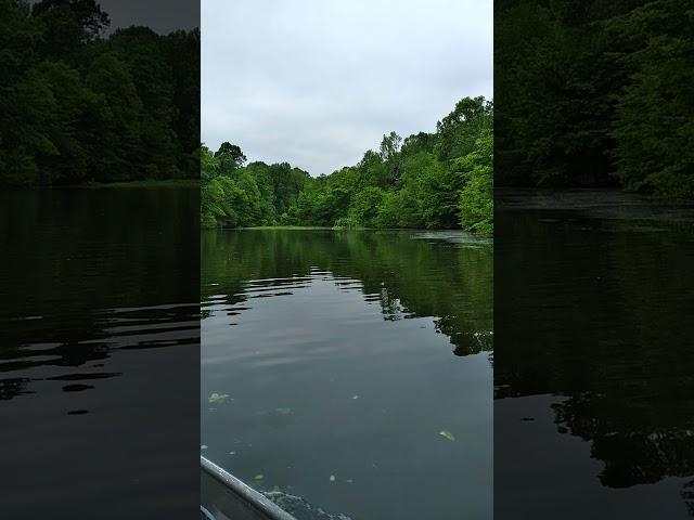 tornado damage at Glenn Springs Lake on Mother's Day