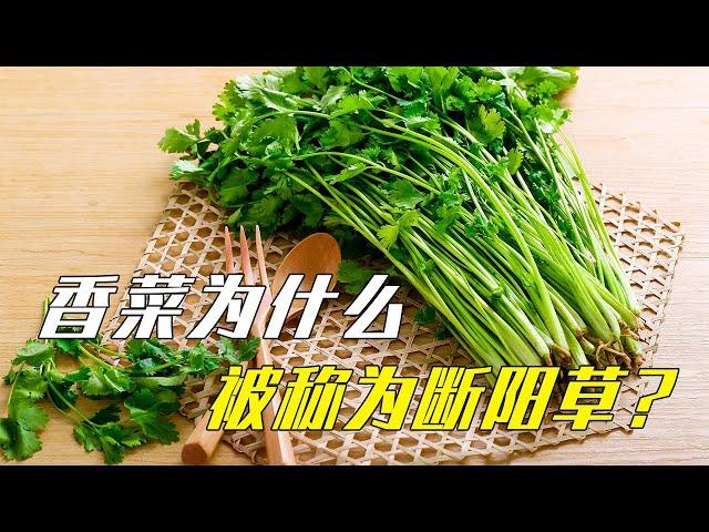 香菜为什么被称为断阳草？香菜也叫芫荽，是种中药#香菜#农作物#菜#科普