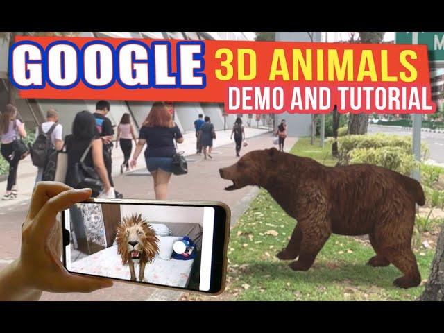 How to use Google 3D Animals | Google 3D Animals Demo