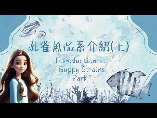 ＜水族趣＞孔雀魚品系介紹（上）｜Introduction to Guppy Strains (Part 1)