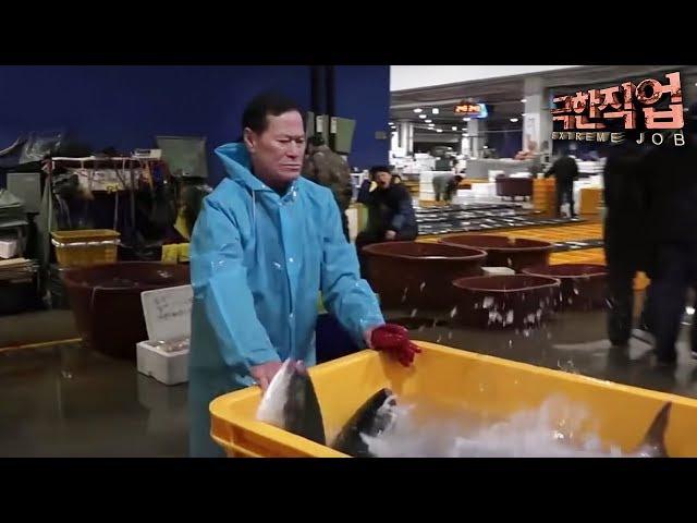 극한직업 - Extreme JOB_출하(出荷) 전쟁 배추와 활어_#001