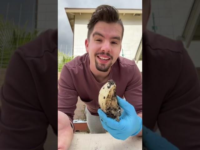 3 Things Not to Feed Your Worms #vermicomposting #vermicomposting #wormcastings