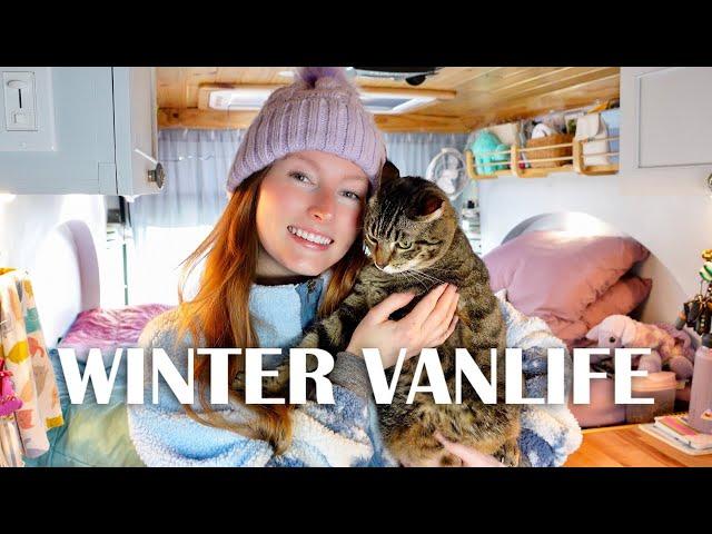 Winter VANLIFE with a CAT | A Day In My Life VLOG | Solo Female Travel