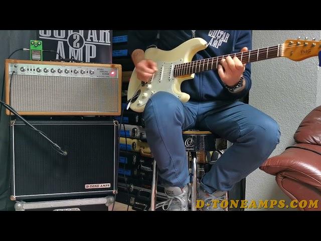 Dumble Steel String Singer style by D-TONE AMPS - the best SSS amp clone