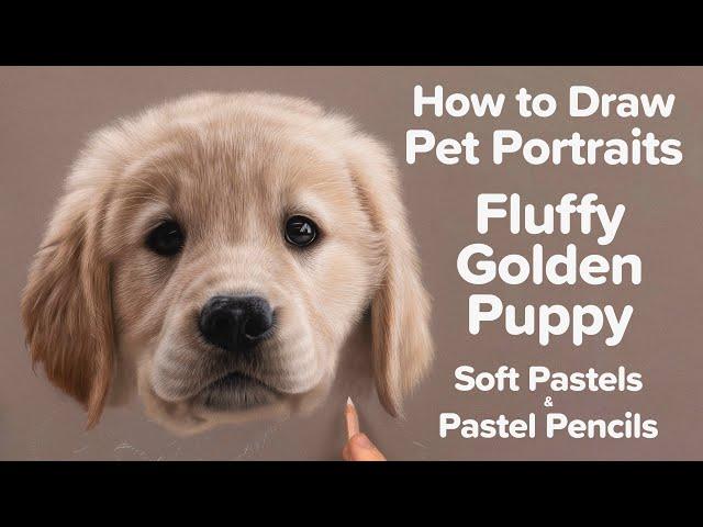 How to Draw Realistic Pet Portraits | Puppy Soft Pastel Tutorial Preview