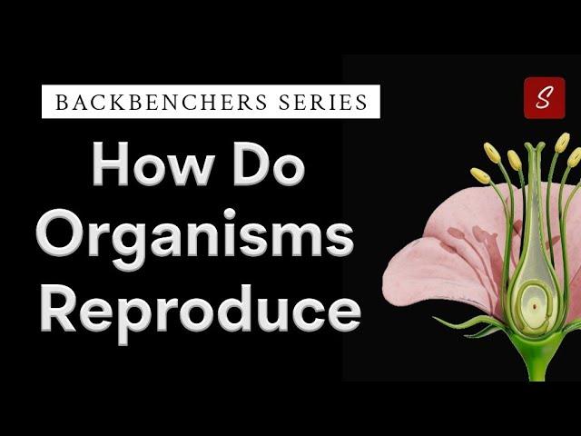 How Do Organisms Reproduce | Class 10 full Chapter | Class 10 Science Chapter 7 in Animation