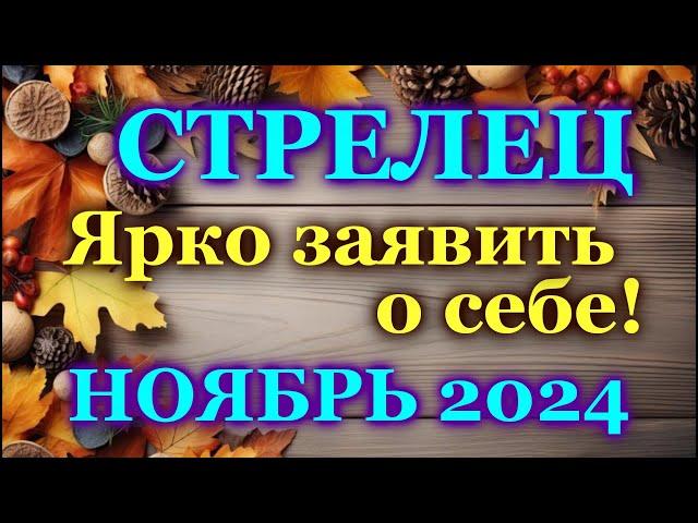 СТРЕЛЕЦ - ТАРО ПРОГНОЗ на НОЯБРЬ 2024 - ПРОГНОЗ РАСКЛАД ТАРО - ГОРОСКОП ОНЛАЙН ГАДАНИЕ