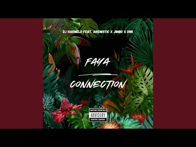 Faya Connection (feat. Aremistic, Jimbo & Dnk)