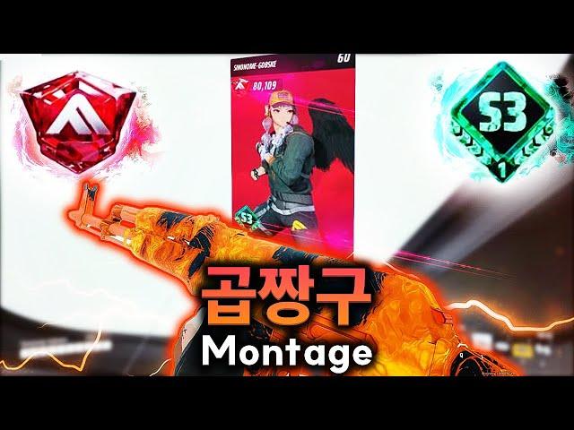 [더 파이널스] THE FINALS | KOREA 최강자전 7월, 8월 우승팀 중형 곱짱구 매드무비 | THE FINALS MIDDLE RANKER MONTAGE