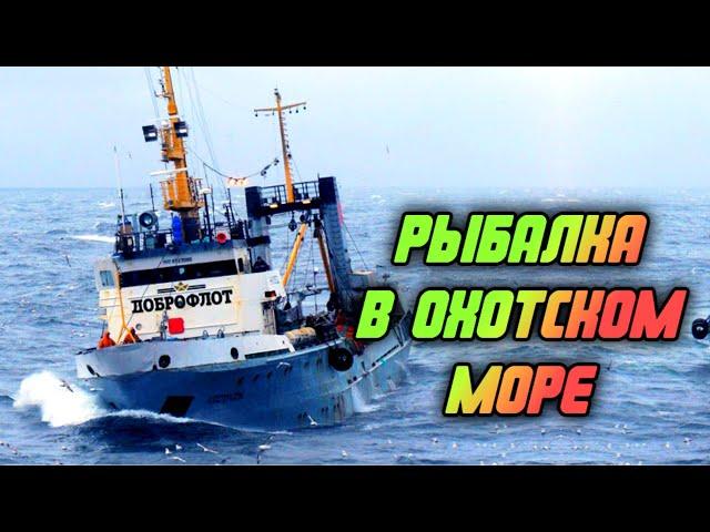 Крупнейший плавучий рыбозавод. Продолжение