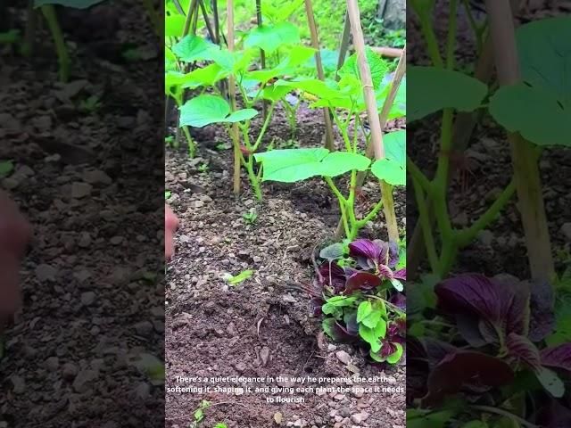 Masterful Garden Planting with a Simple Tool