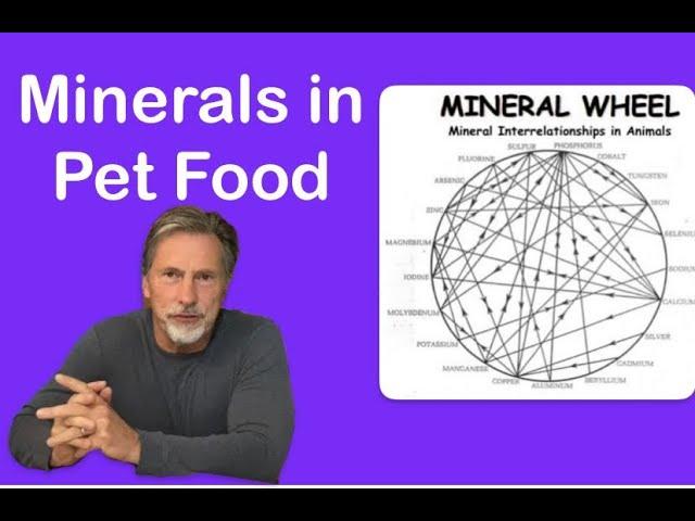 Minerals in Pet Food...real or synthetic