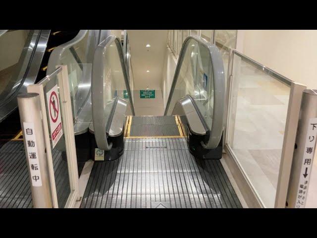 【起動あり】ニトリモール相模原 エスカレーター 下り【フジテック】Escalator, Nitori Mall Sagamihara(FUJITEC)