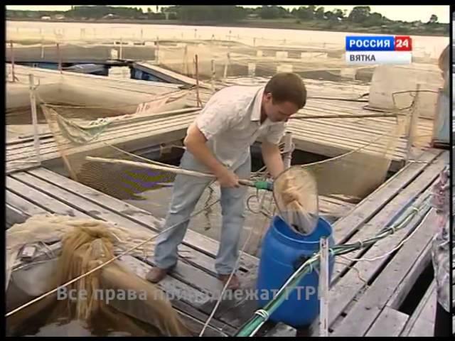 Конкурс журналистских работ «Страна моя - Вятка» (22-23 ноября 2013 года) (ГТРК Вятка)