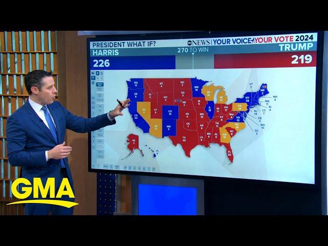 What polls say about the 2024 presidential election