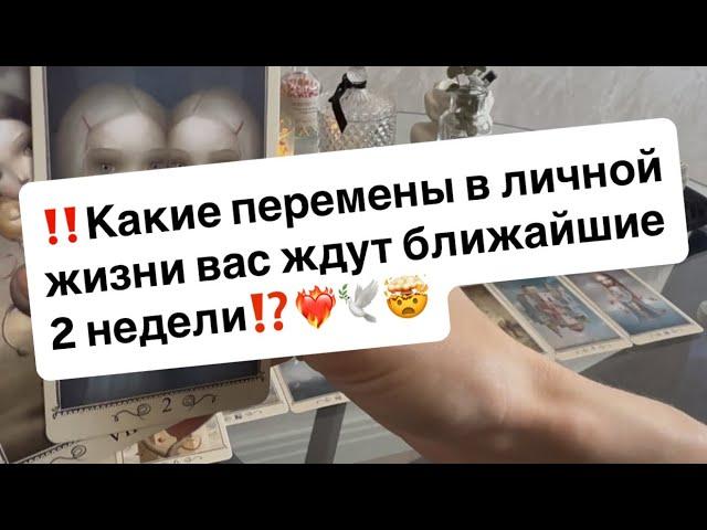 ‼️Какие перемены в личной жизни вас ждут ближайшие 2 недели⁉️️‍️
