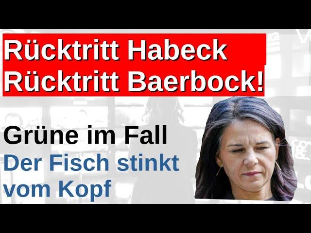 Grüne am Ende Rücktritt Annalena Baerbock und Robert Habeck Vorstand Rücktritt Jugend verlässt