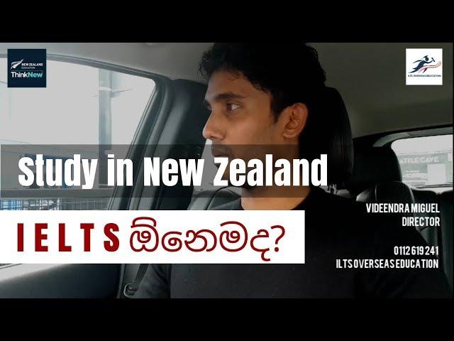 IELTS ඕනෙ නැහැ කියන කතාව ඇත්තද? ️