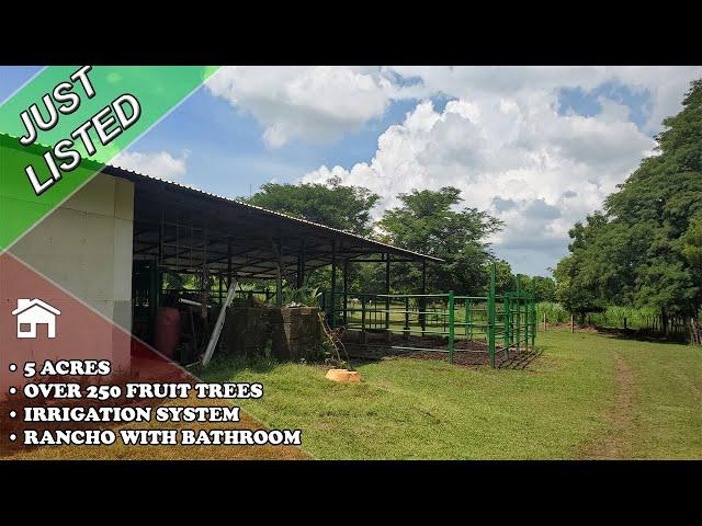 JUST LISTED! FARM NEAR LEON $79,000 - NICARAGUA REAL ESTATE