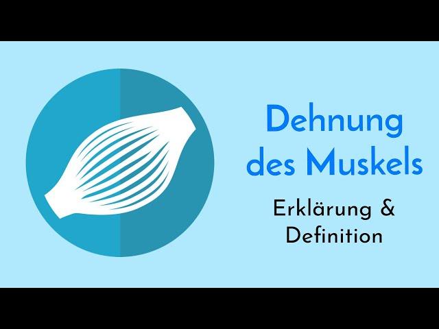 Beeinflussung des Muskels durch Dehnung und Kontraktion - Definition des Effekts und Ablauf