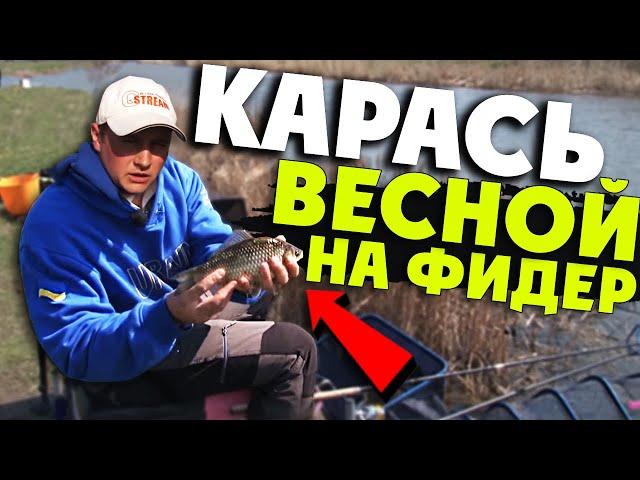 Ловля КАРАСЯ весной на ФИДЕР! Как ловить? На что ловить? Прикормка на карася?