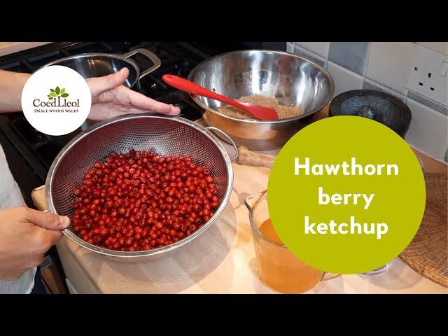 Hawthorn berry ketchup | Coed Lleol (Small Woods Wales)