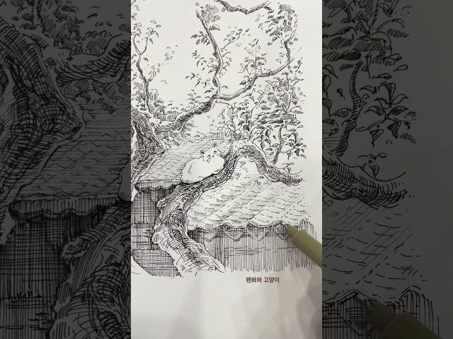 펜화와 고양이 #drawing #penart #pendrawing #펜화 #펜드로잉