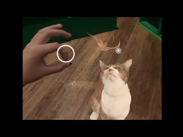 memories in AR - cats in augmented reality