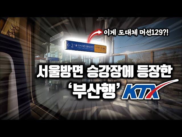 "부산행 KTX가 왜 여기로 들어와?" KTX 울산역 서울방면 승강장에서 벌어진 일..