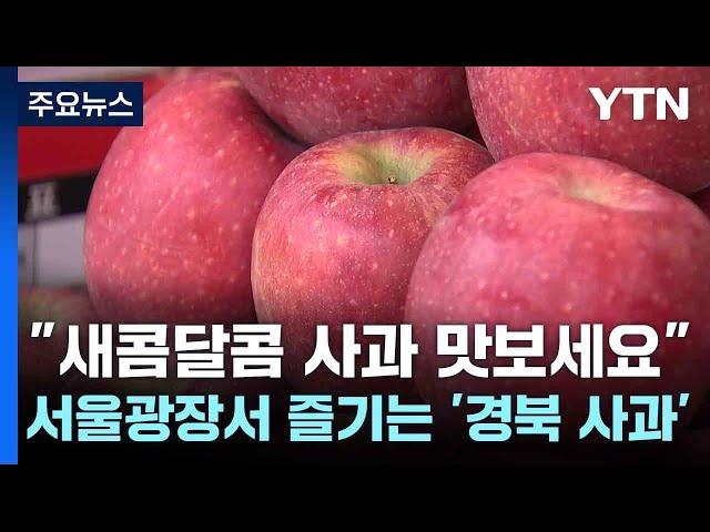 [경북] "새콤달콤 사과 맛보세요" 서울광장서 즐기는 '경북 사과' / YTN