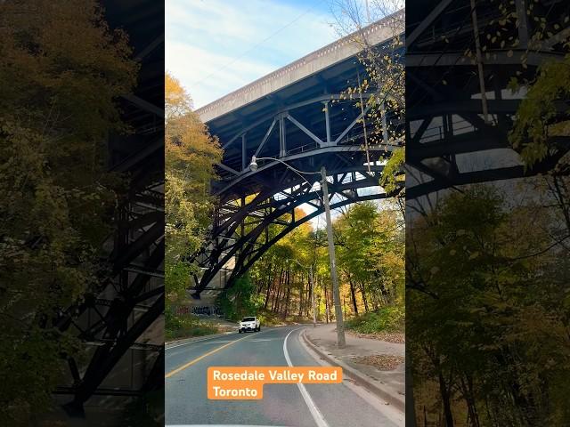 Enjoy Fall in Torontosenic drive on Rosedale Valley Rd  #fallseason #torontolife #秋色 #多伦多