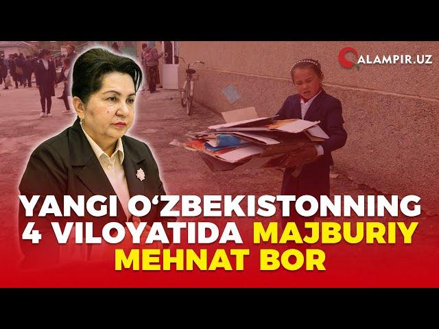 Yangi O‘zbekistonning 4 viloyatida majburiy mehnat bor