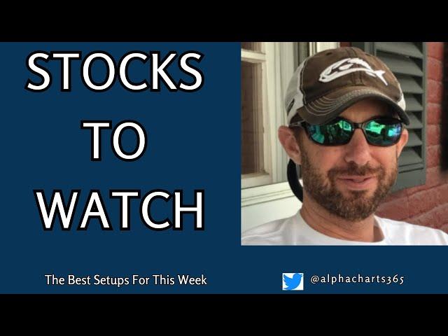 Stocks to Watch for August 25th 2024