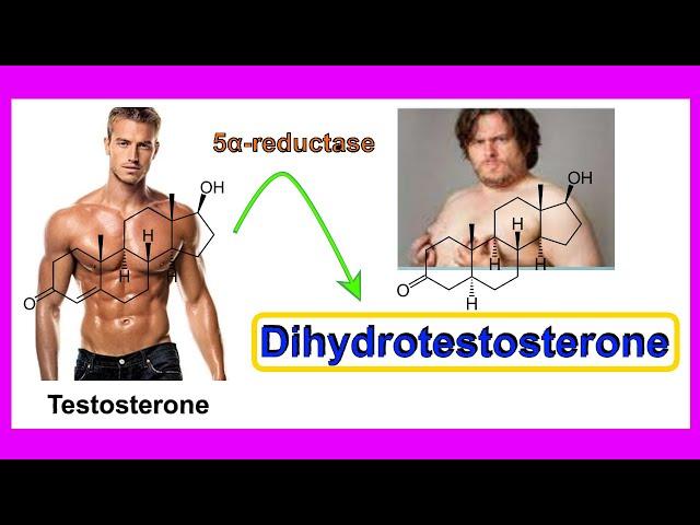 dihydrotestosterone