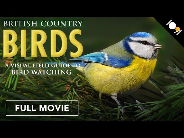 British Country Birds: A Visual Field Guide to Bird Watching